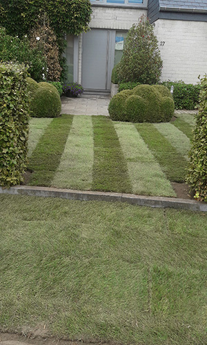 plaatsen graszoden